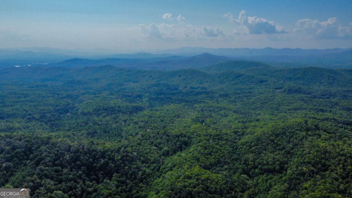 80-acres Valley Lake Road Morganton, GA 30560 - Photo 29 of 58