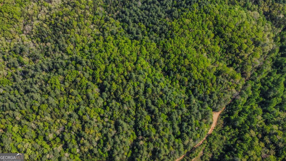 80-acres Valley Lake Road Morganton, GA 30560 - Photo 31 of 58