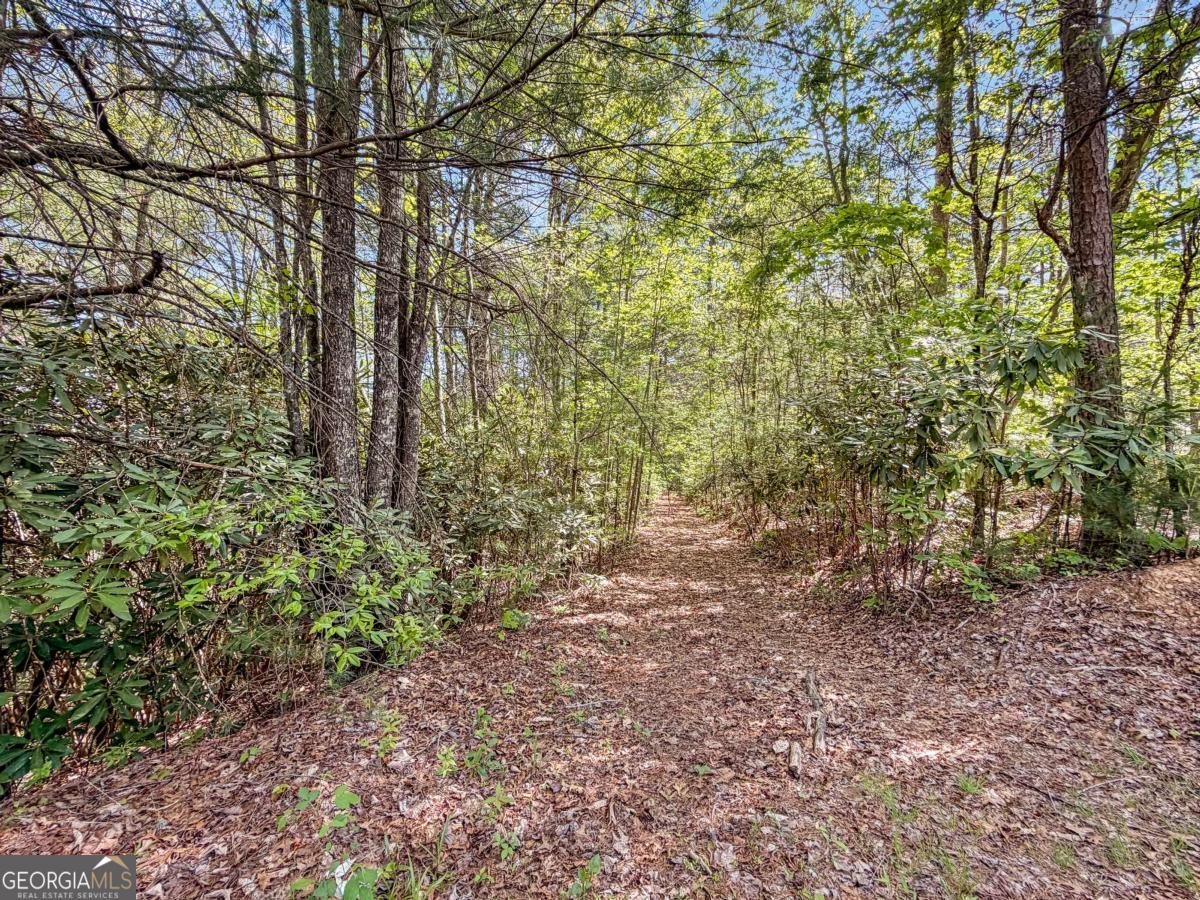 80-acres Valley Lake Road Morganton, GA 30560 - Photo 32 of 58