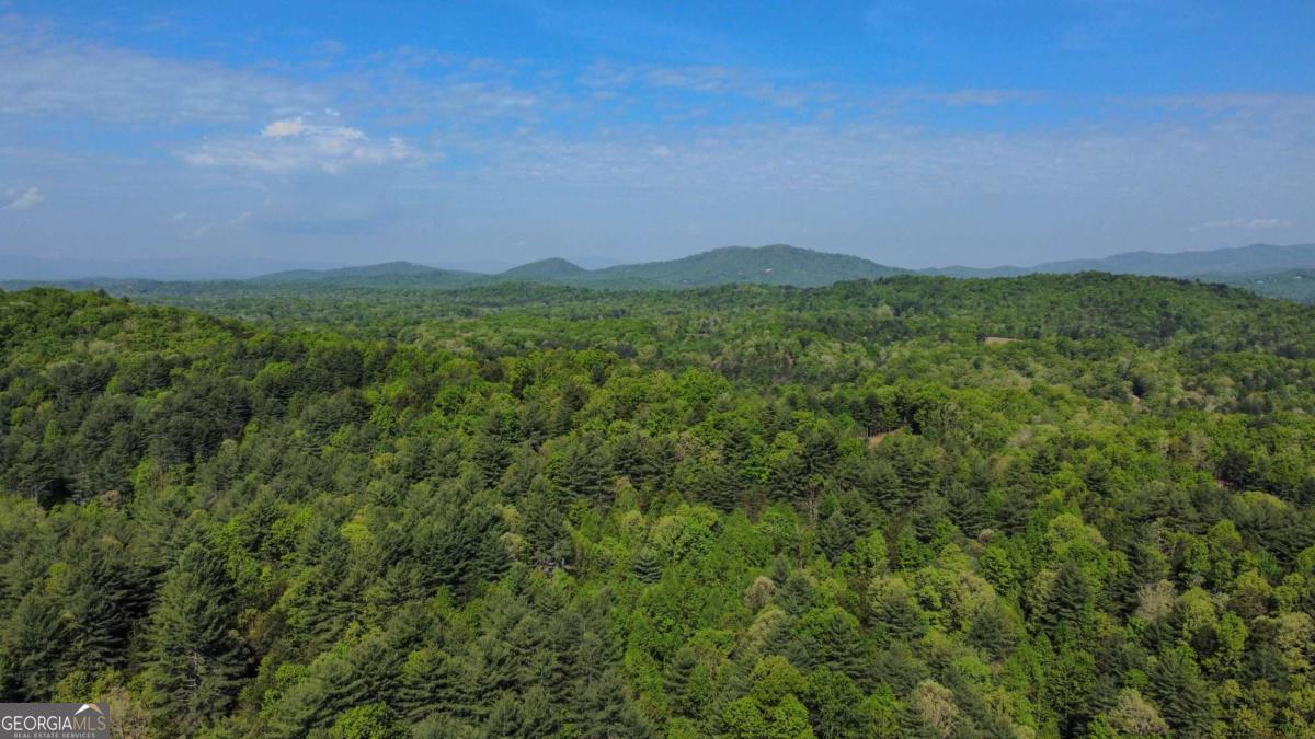 80-acres Valley Lake Road Morganton, GA 30560 - Photo 33 of 58