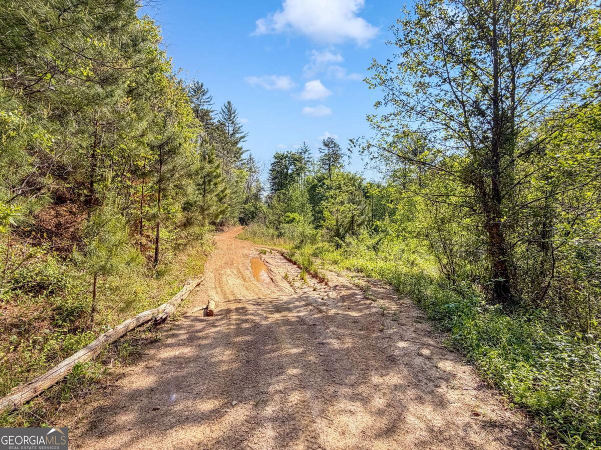 80-acres Valley Lake Road Morganton, GA 30560 - Photo 34 of 58