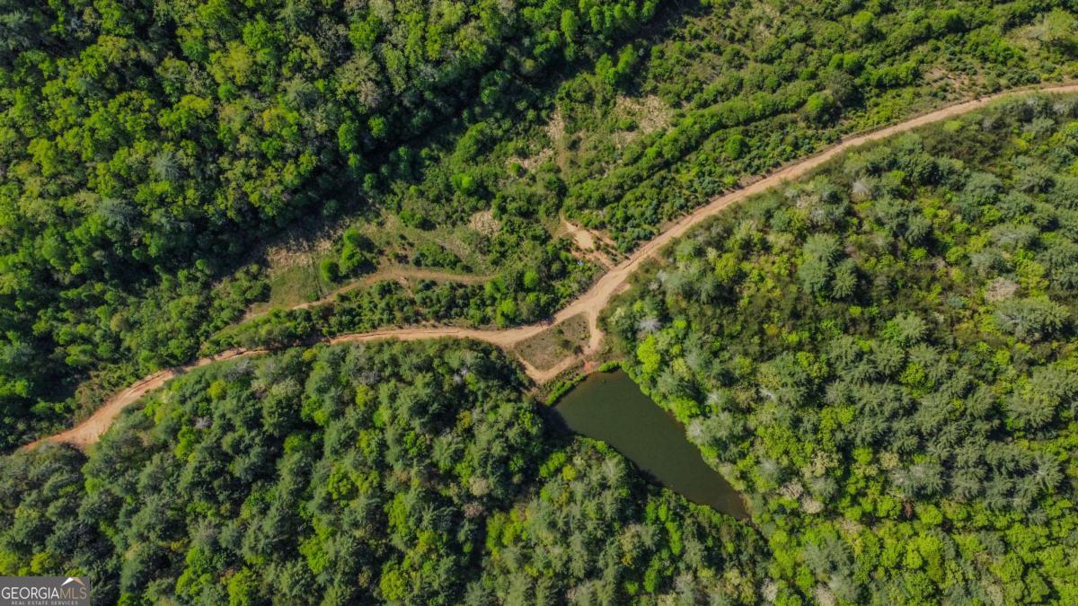 80-acres Valley Lake Road Morganton, GA 30560 - Photo 36 of 58