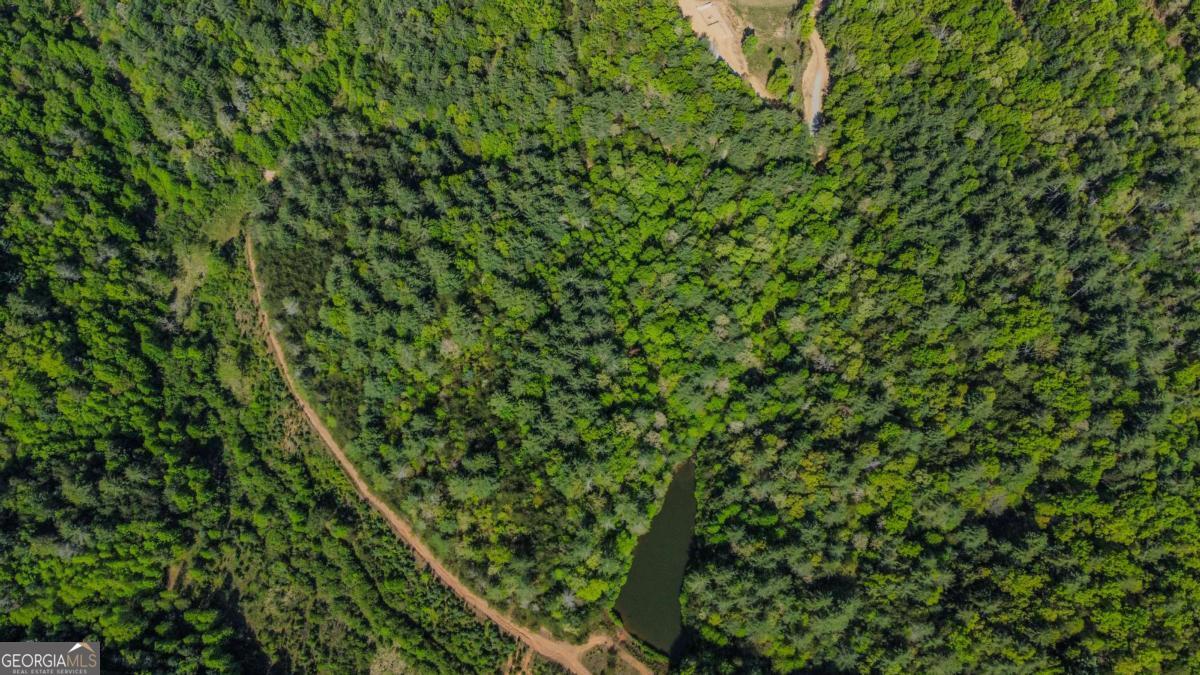 80-acres Valley Lake Road Morganton, GA 30560 - Photo 37 of 58