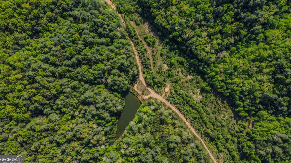 80-acres Valley Lake Road Morganton, GA 30560 - Photo 38 of 58