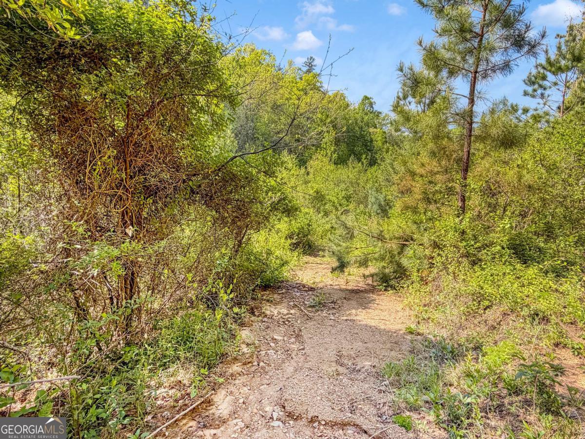 80-acres Valley Lake Road Morganton, GA 30560 - Photo 40 of 58