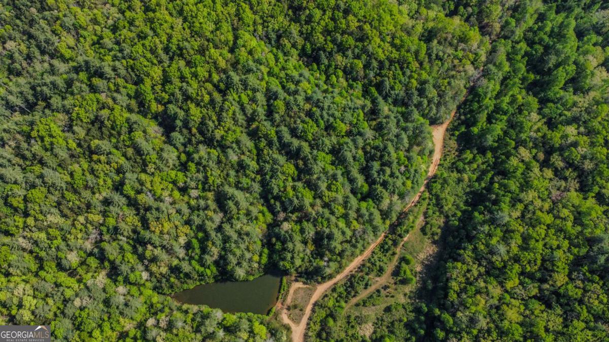 80-acres Valley Lake Road Morganton, GA 30560 - Photo 4 of 58