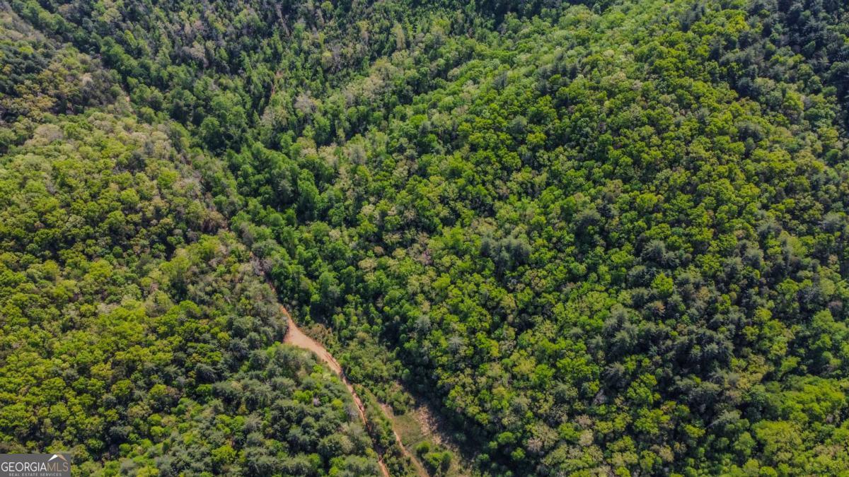 80-acres Valley Lake Road Morganton, GA 30560 - Photo 42 of 58