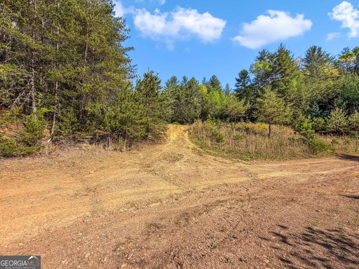 80-acres Valley Lake Road Morganton, GA 30560 - Photo 43 of 58