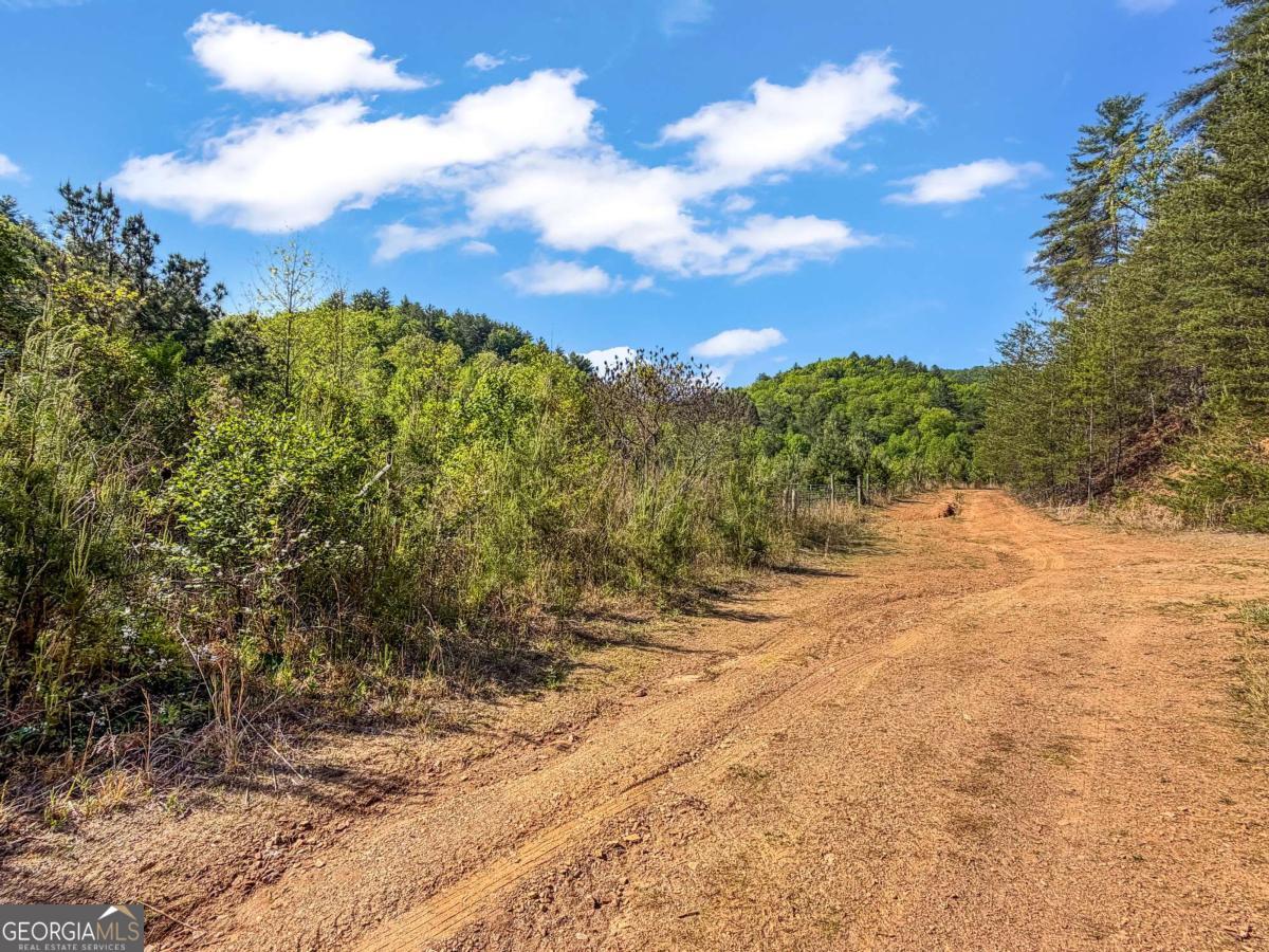 80-acres Valley Lake Road Morganton, GA 30560 - Photo 45 of 58