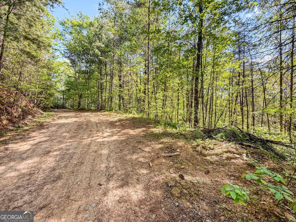 80-acres Valley Lake Road Morganton, GA 30560 - Photo 46 of 58