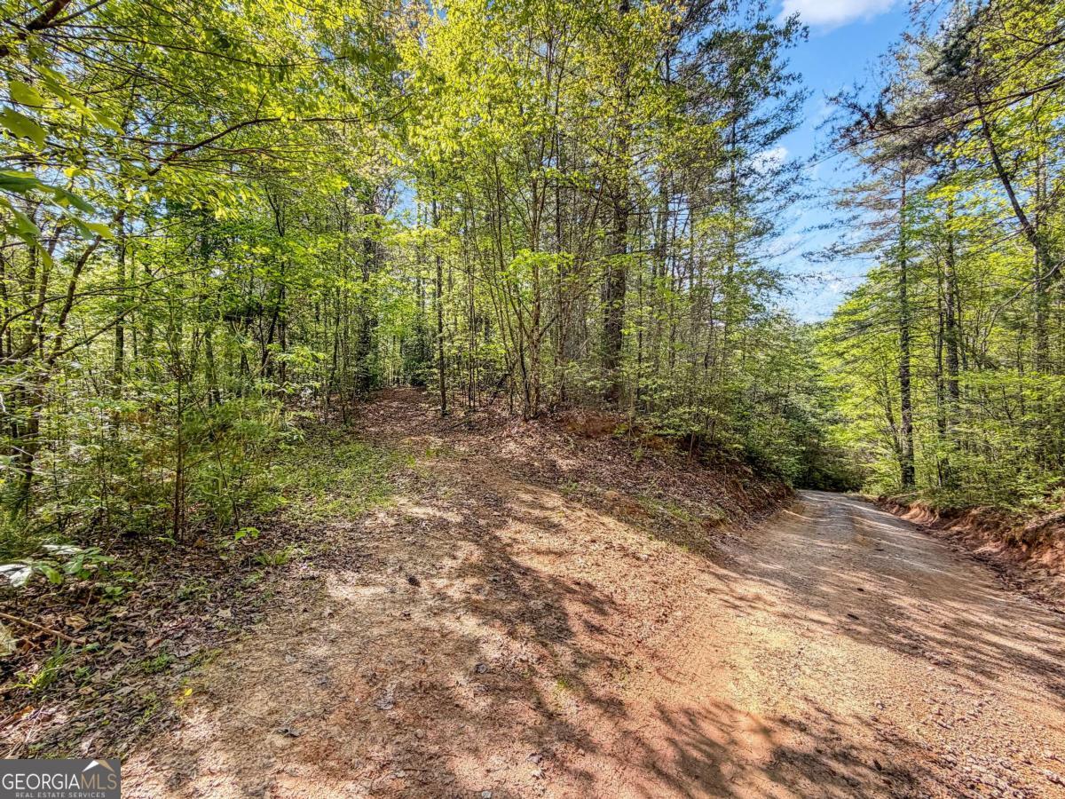 80-acres Valley Lake Road Morganton, GA 30560 - Photo 47 of 58