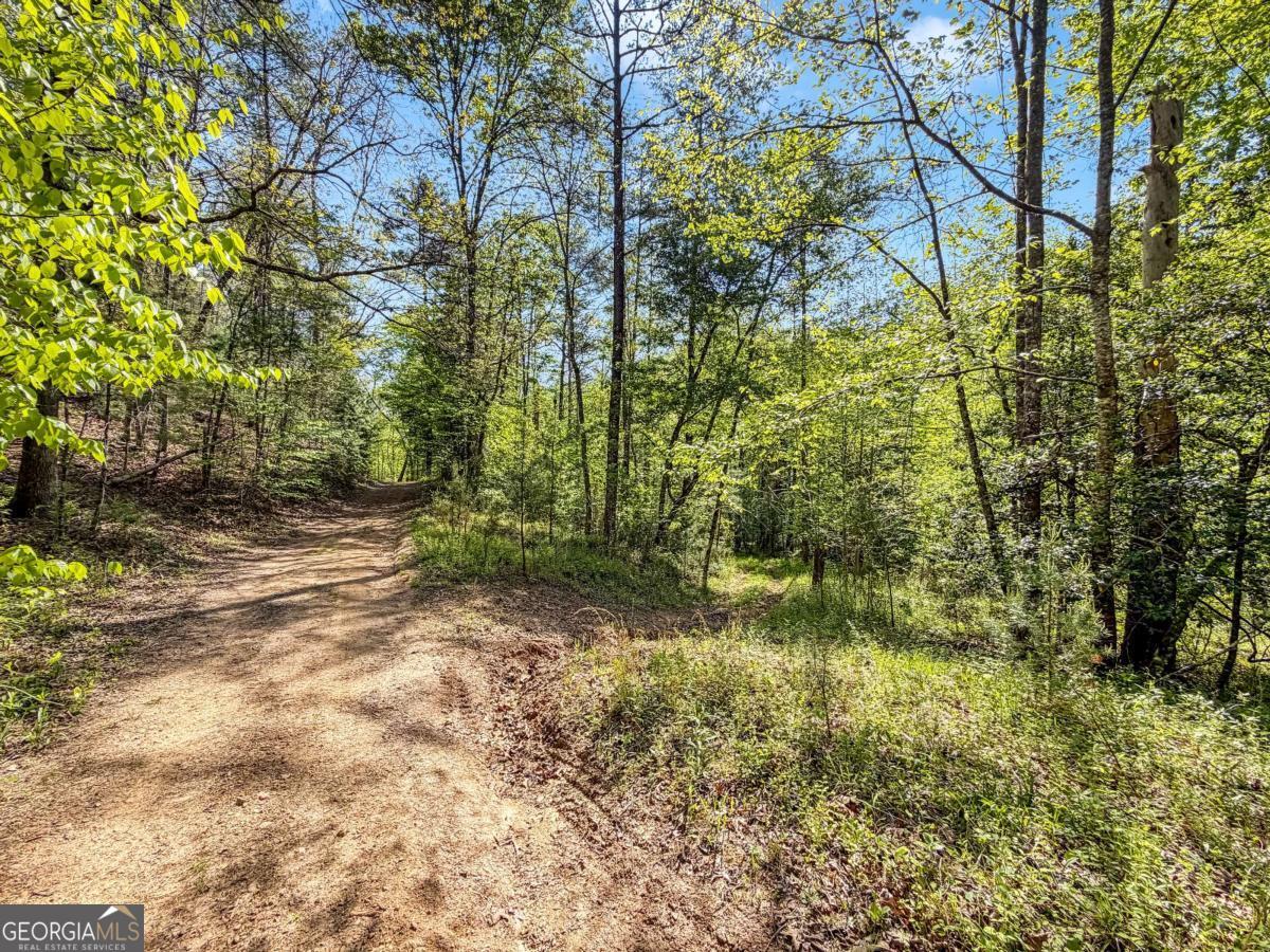 80-acres Valley Lake Road Morganton, GA 30560 - Photo 48 of 58