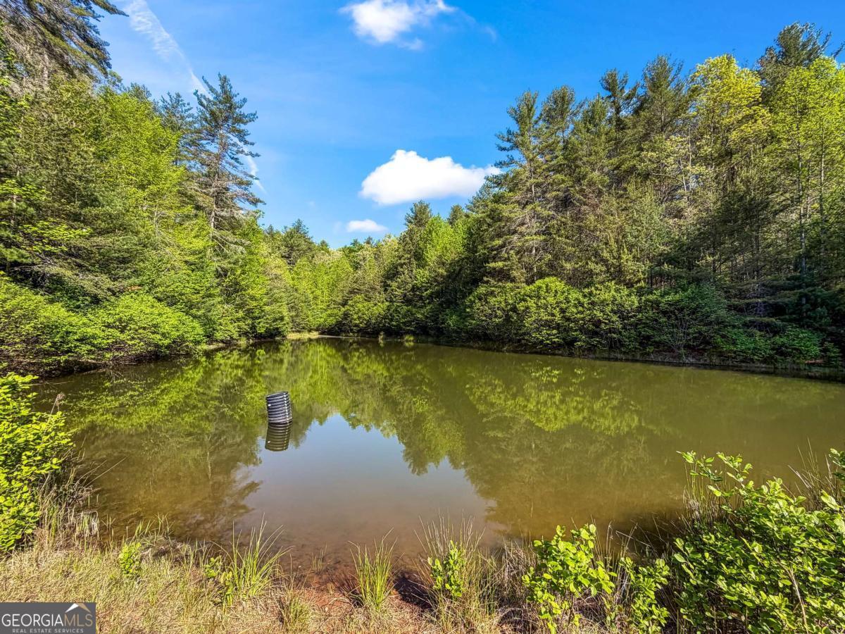 80-acres Valley Lake Road Morganton, GA 30560 - Photo 49 of 58