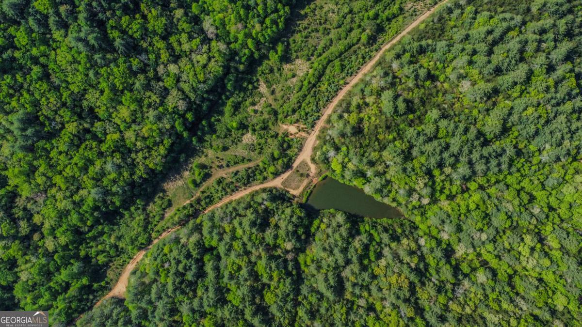 80-acres Valley Lake Road Morganton, GA 30560 - Photo 50 of 58
