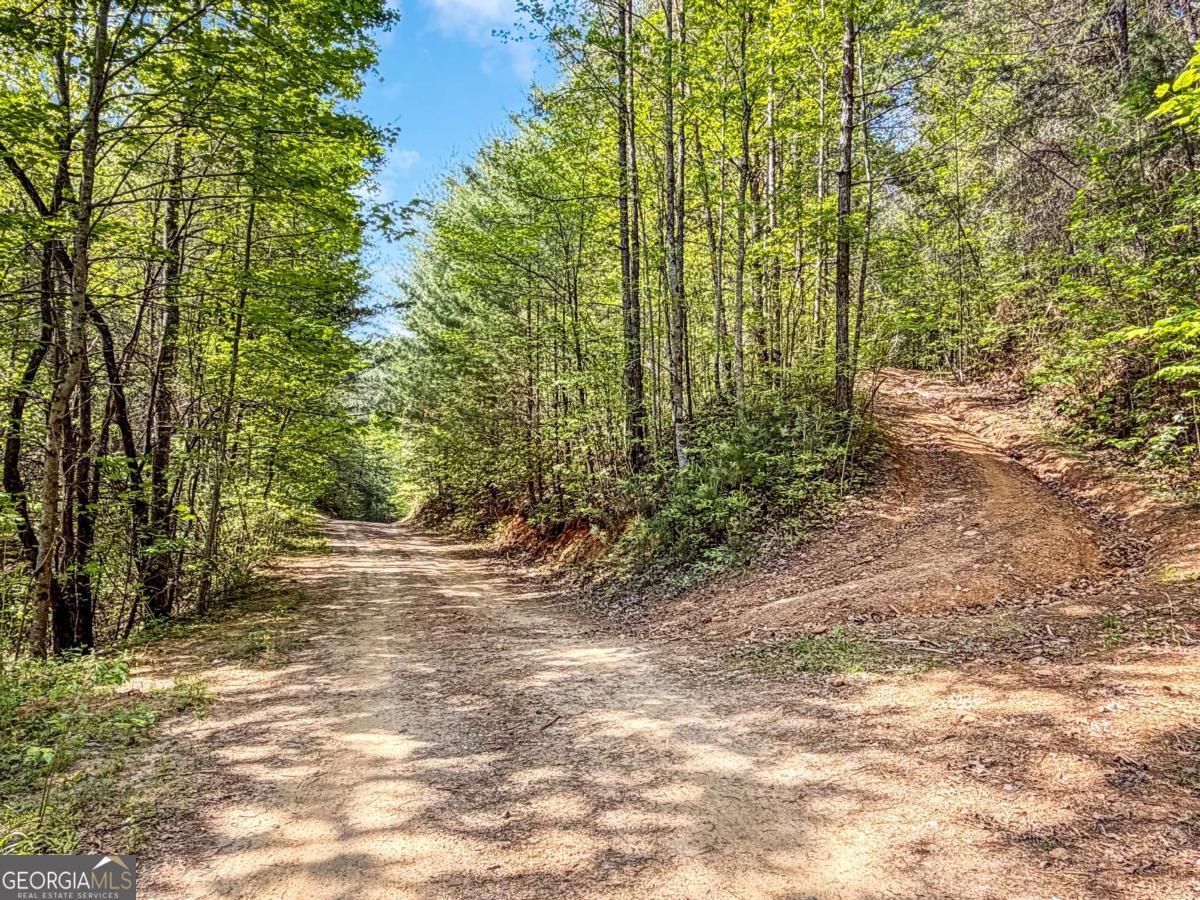 80-acres Valley Lake Road Morganton, GA 30560 - Photo 5 of 58