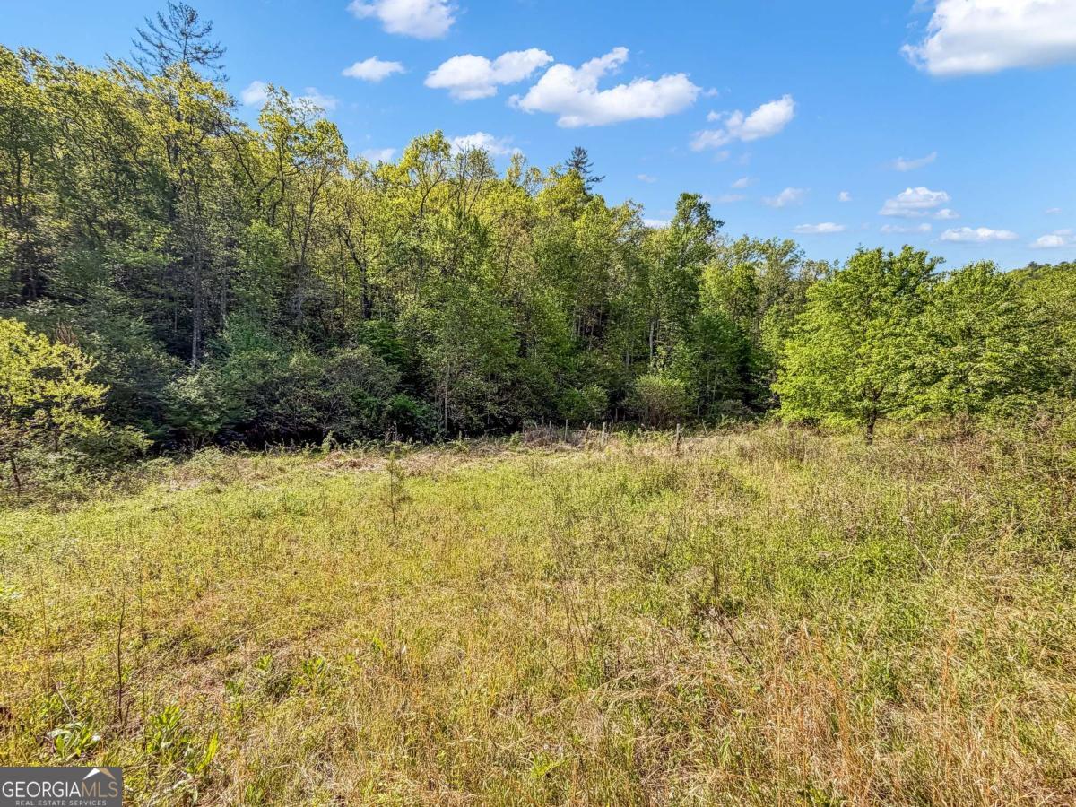 80-acres Valley Lake Road Morganton, GA 30560 - Photo 51 of 58