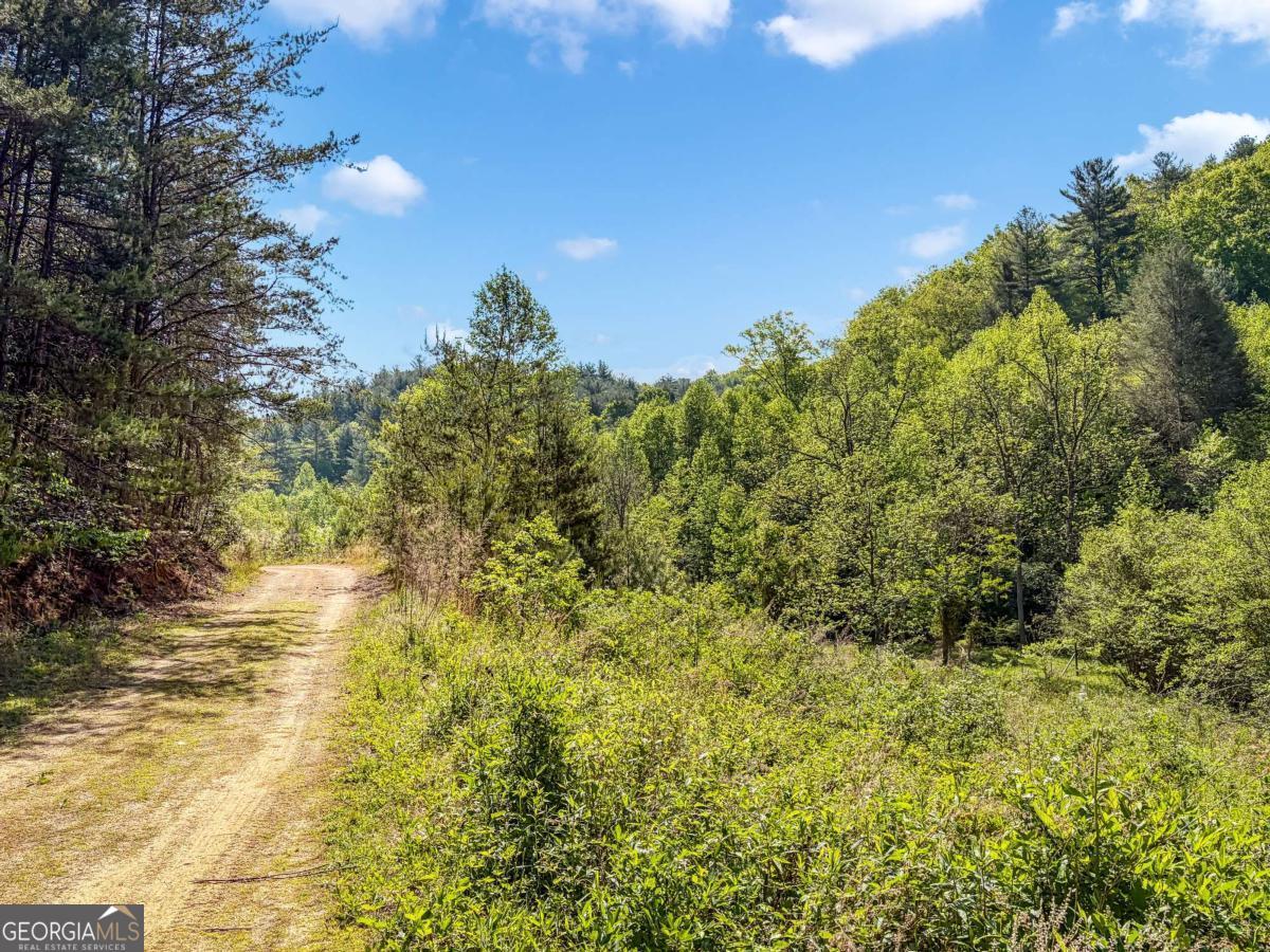 80-acres Valley Lake Road Morganton, GA 30560 - Photo 52 of 58