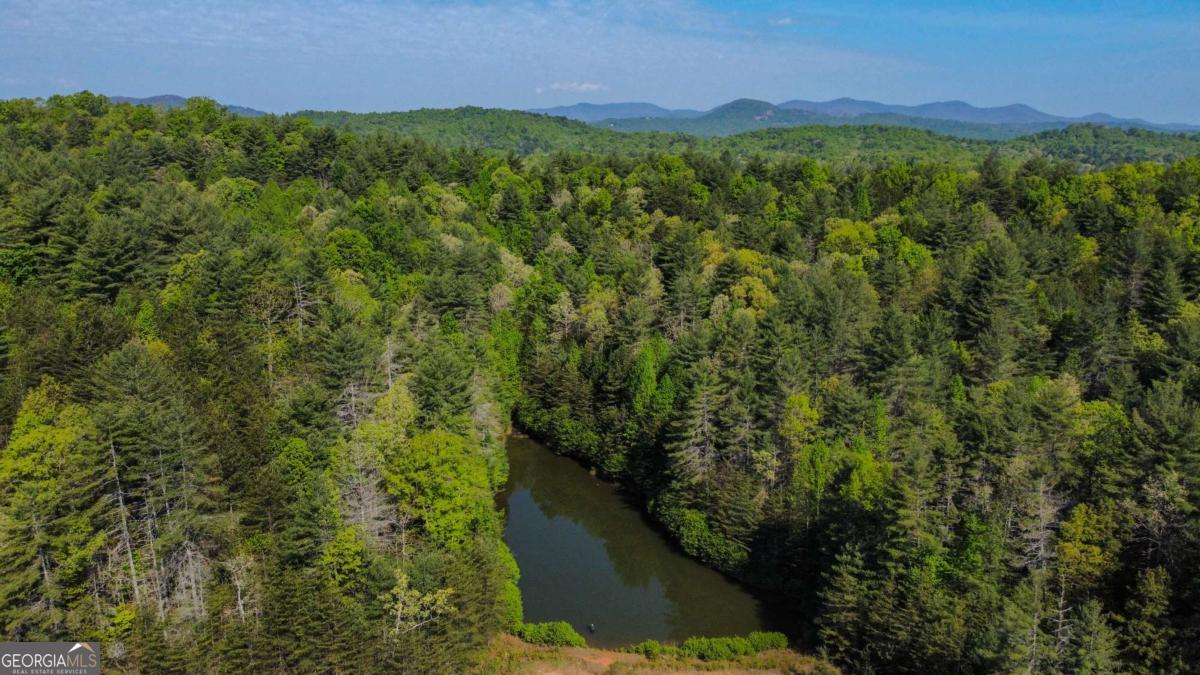 80-acres Valley Lake Road Morganton, GA 30560 - Photo 53 of 58