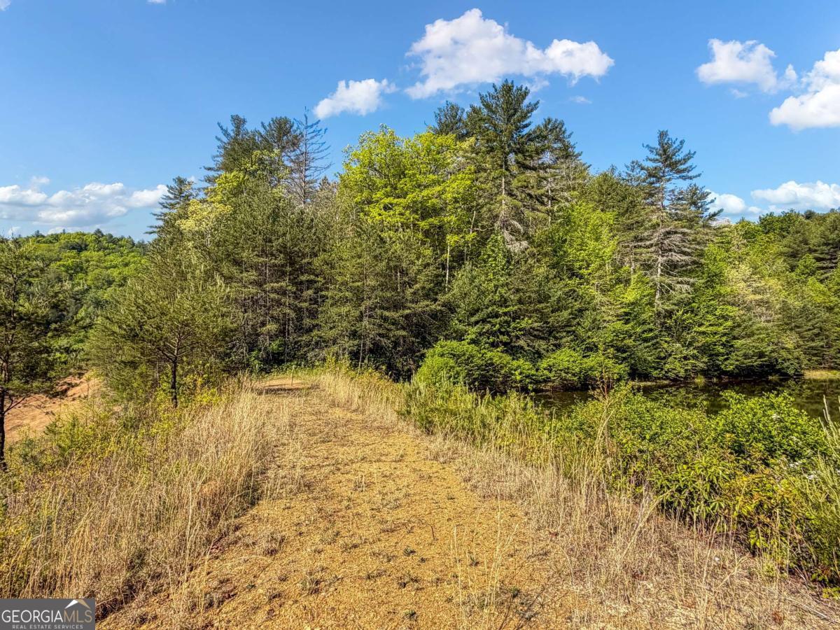 80-acres Valley Lake Road Morganton, GA 30560 - Photo 55 of 58