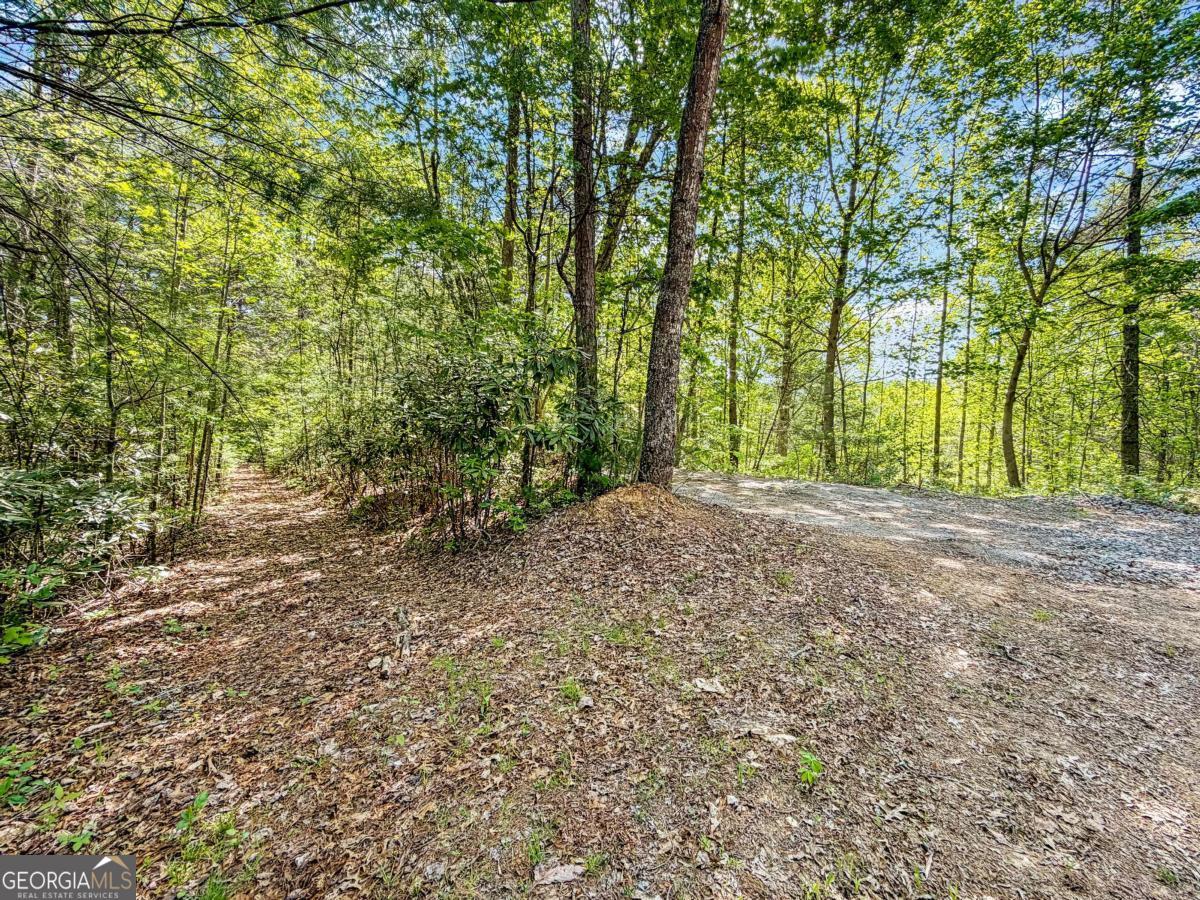 80-acres Valley Lake Road Morganton, GA 30560 - Photo 56 of 58