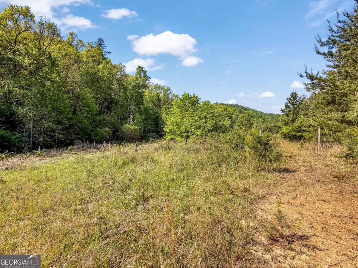 80-acres Valley Lake Road Morganton, GA 30560 - Photo 57 of 58