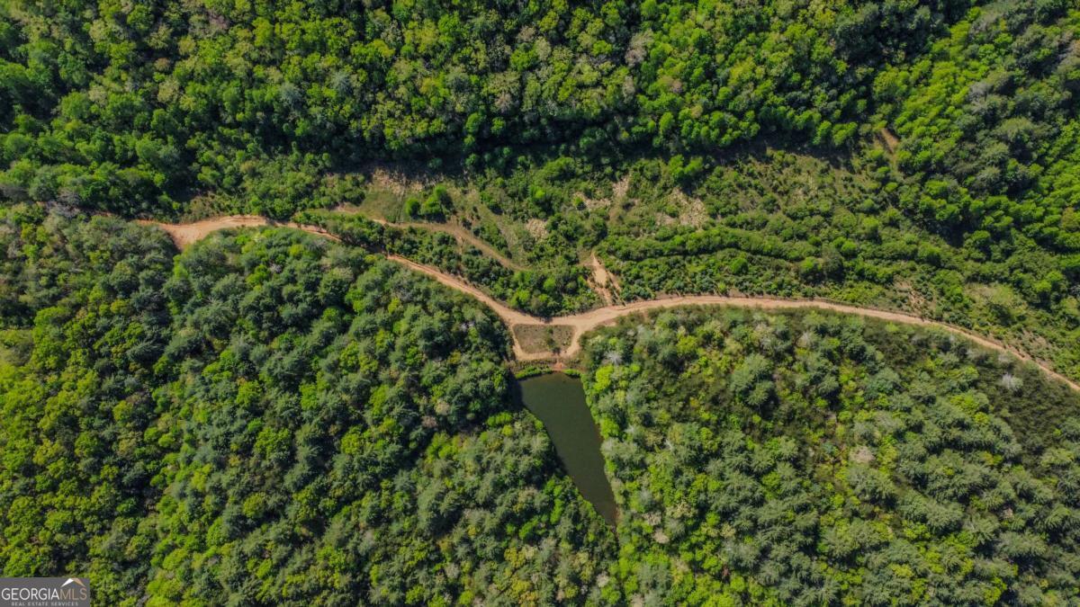 80-acres Valley Lake Road Morganton, GA 30560 - Photo 58 of 58