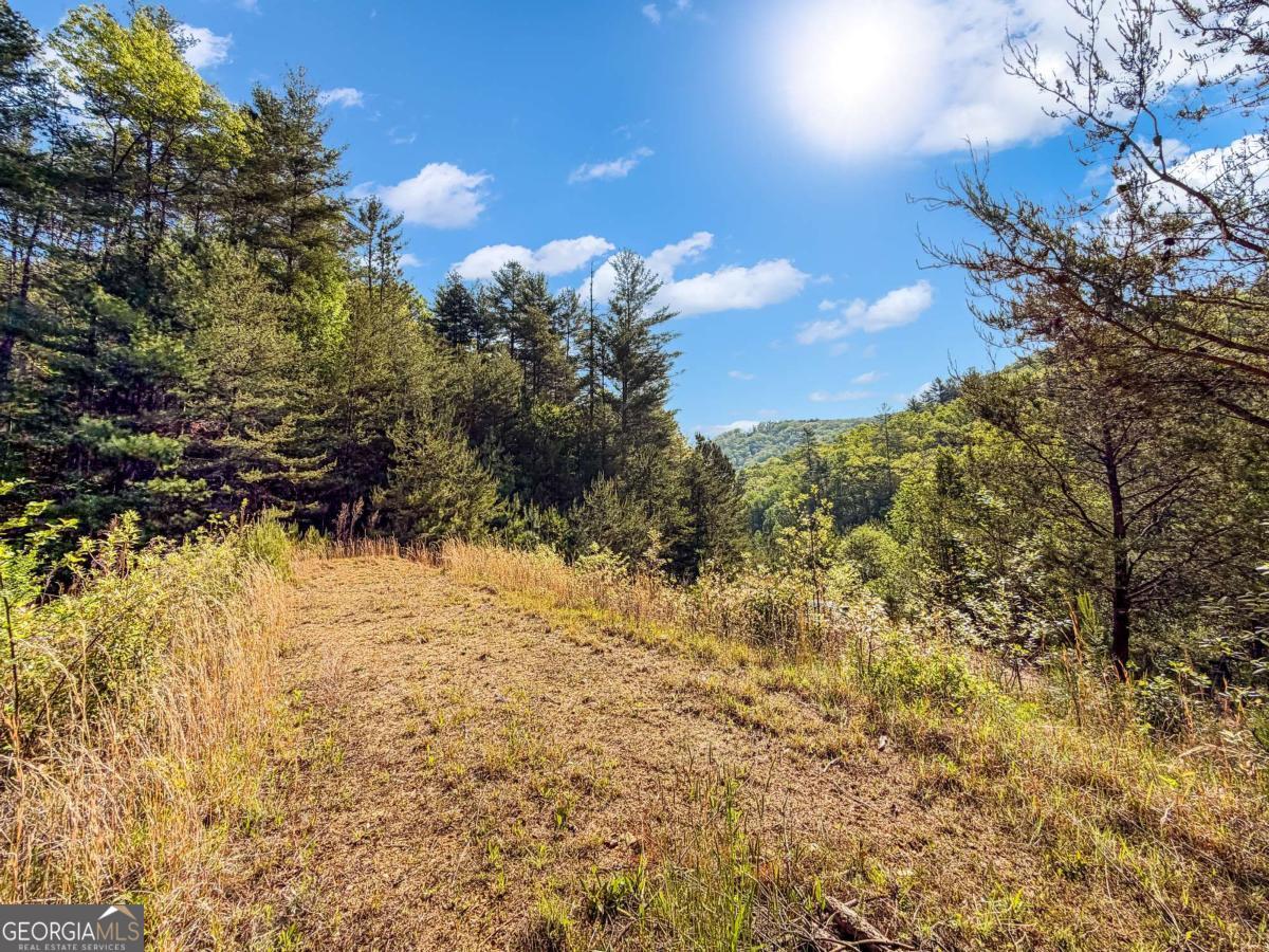 80-acres Valley Lake Road Morganton, GA 30560 - Photo 6 of 58