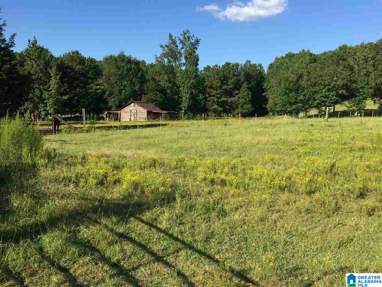 0 Valley Creek Road Piedmont, AL 36272 - Photo 5 of 28
