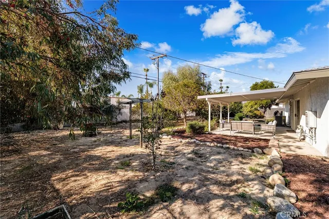 a view of a tree in the middle of a yard