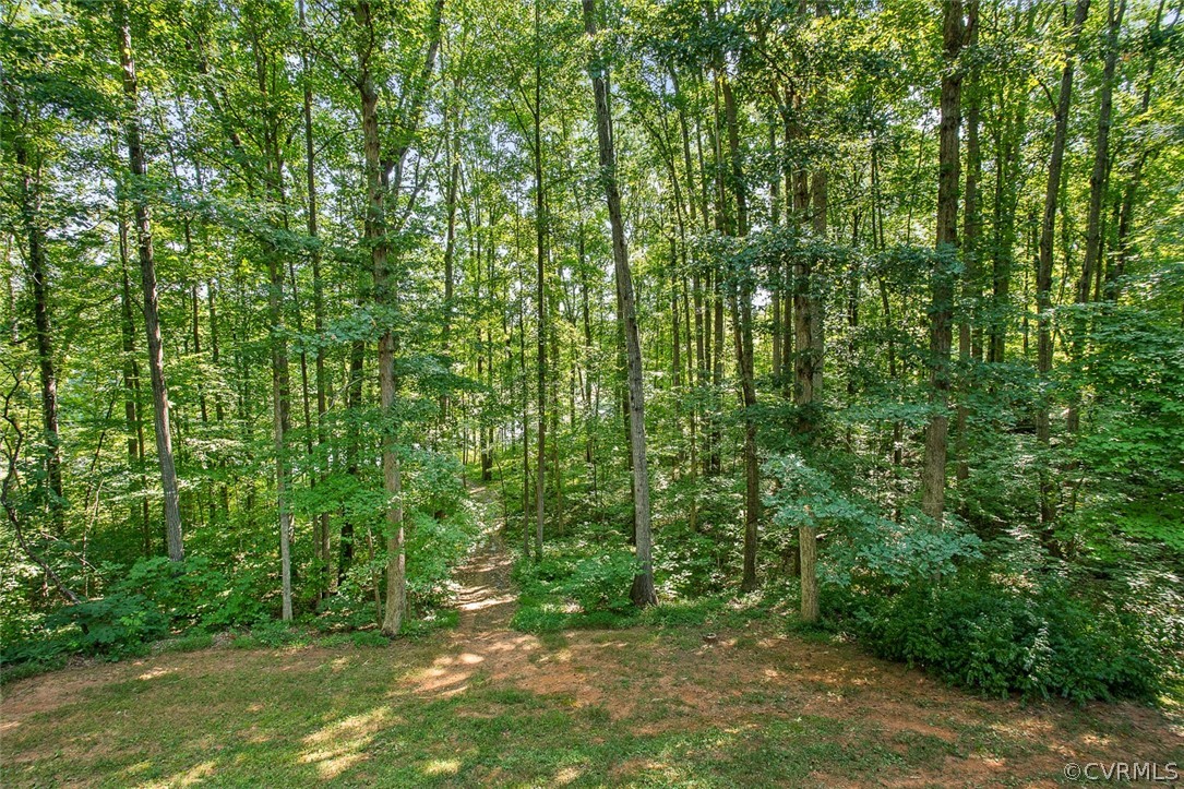 2354 Mountain View Road Powhatan, VA 23139 - Photo 25 of 41 Gallery Image 25