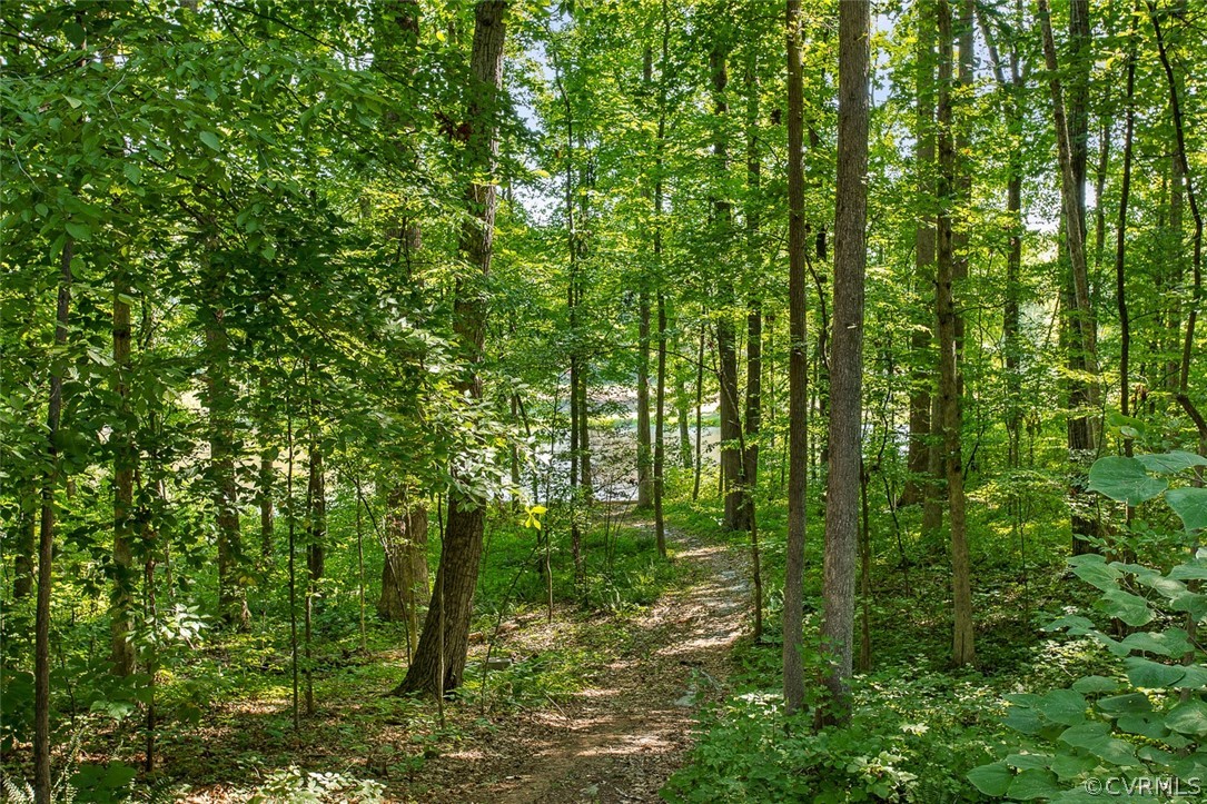 2354 Mountain View Road Powhatan, VA 23139 - Photo 29 of 41 Gallery Image 29