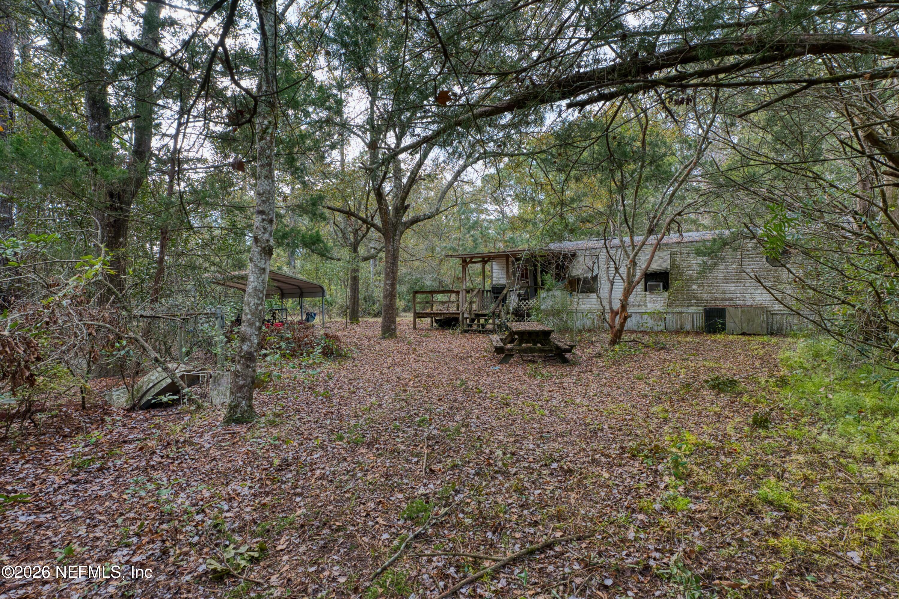 1049 Hammond Boulevard Jacksonville, FL 32221 - Photo 14 of 16 a view of backyard with small trees