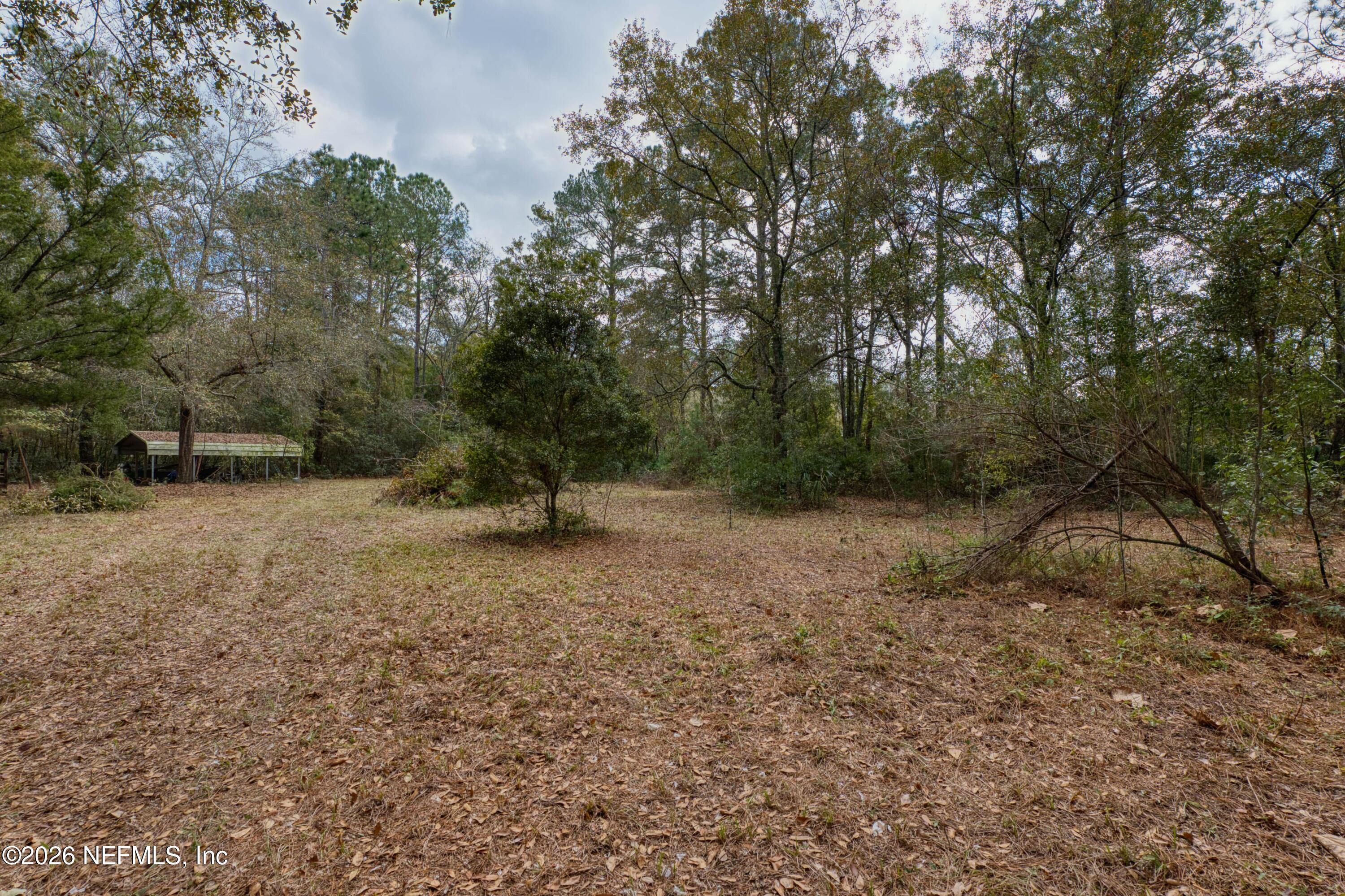 1049 Hammond Boulevard Jacksonville, FL 32221 - Photo 15 of 16 a view of a forest with trees in the background
