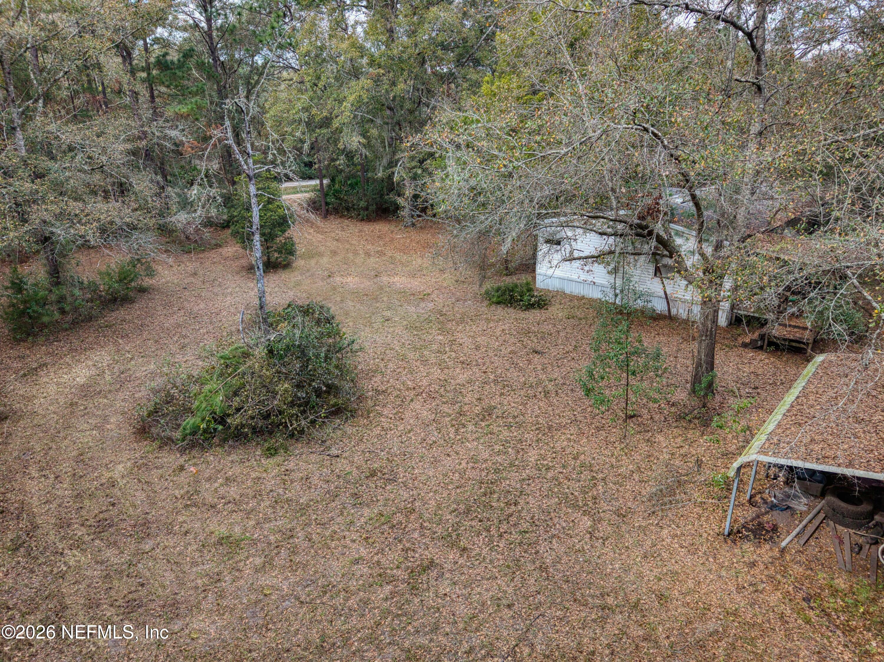 1049 Hammond Boulevard Jacksonville, FL 32221 - Photo 6 of 16 a view of a backyard with trees