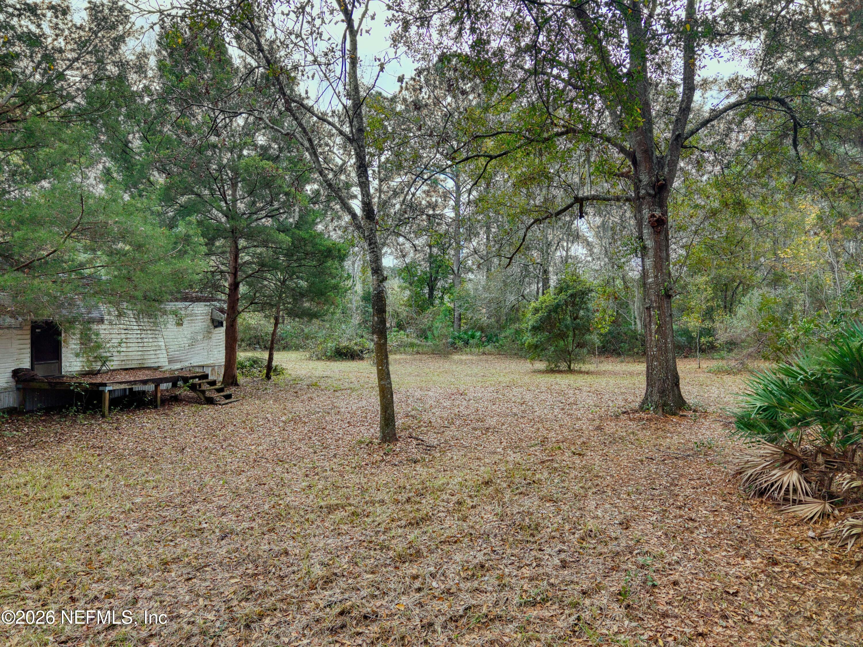 1049 Hammond Boulevard Jacksonville, FL 32221 - Photo 7 of 16 a view of a yard with a tree