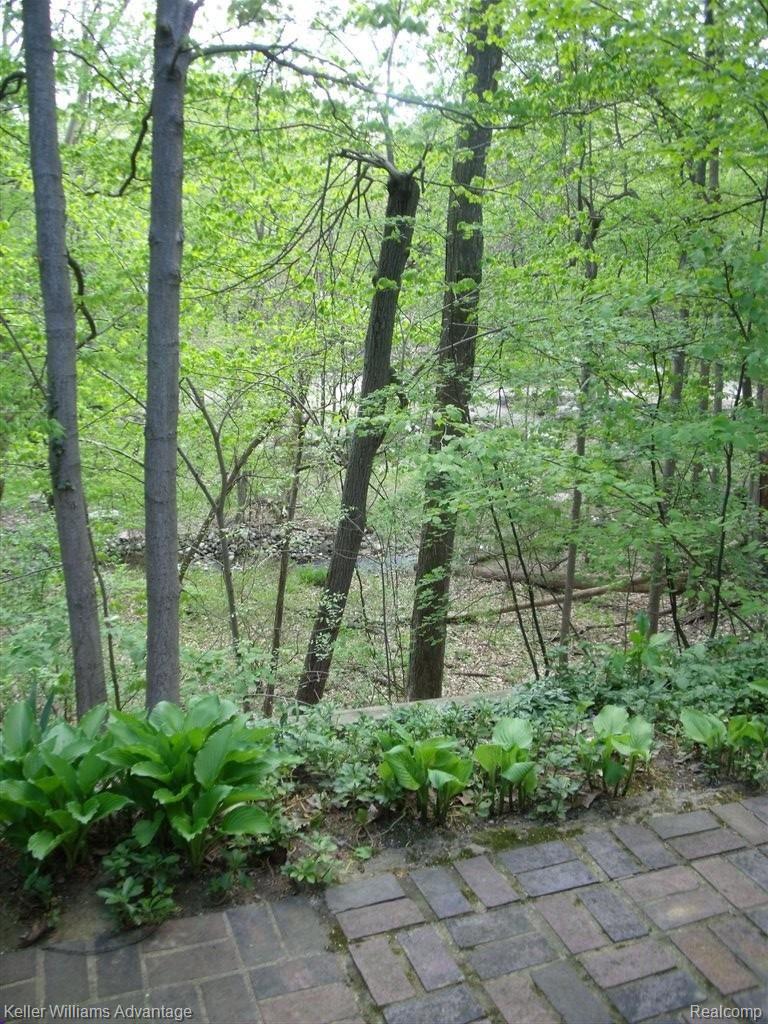 34424 Quaker Valley Road Farmington, MI 48331 - Photo 18 of 19 Back Patio