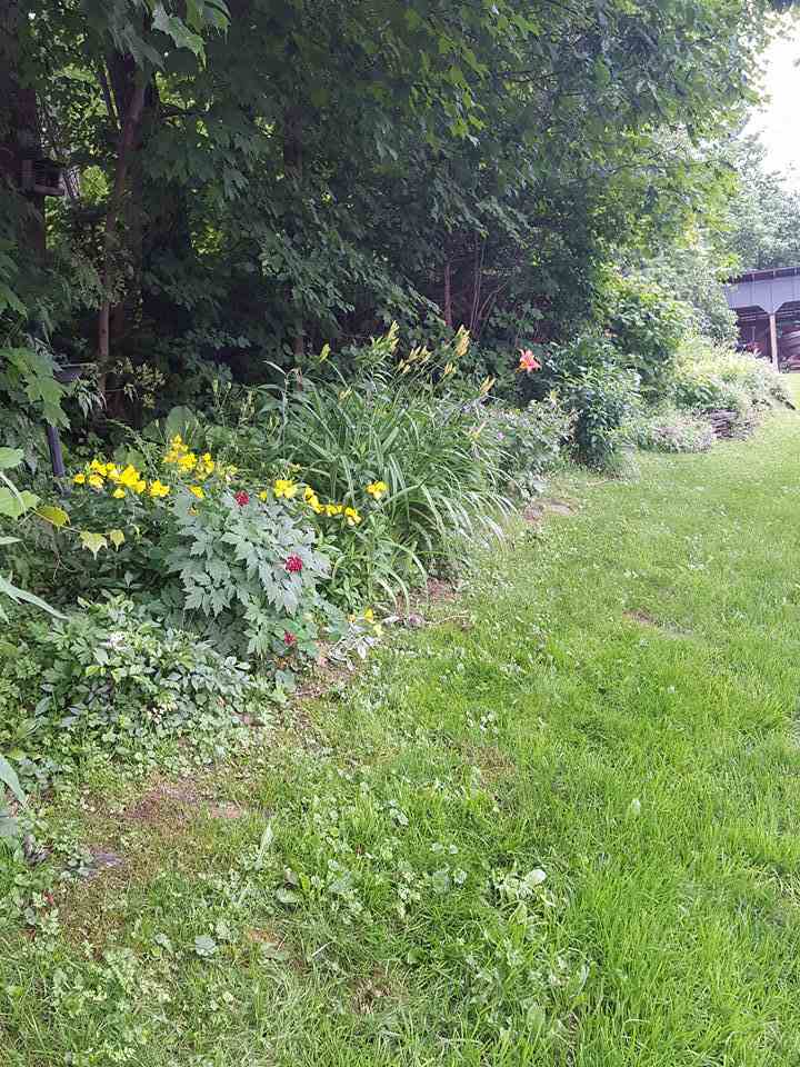 185 Bisson Road Barre, VT 05641 - Photo 4 of 33
