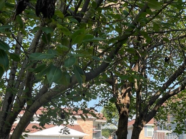 2350 Bering Drive, Unit 111 Houston, TX 77057 - Photo 10 of 22