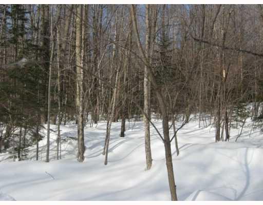 Lot 9 Rowe Hill Road Greenwood, ME 04255 - Photo 2 of 7 Land/Lot.