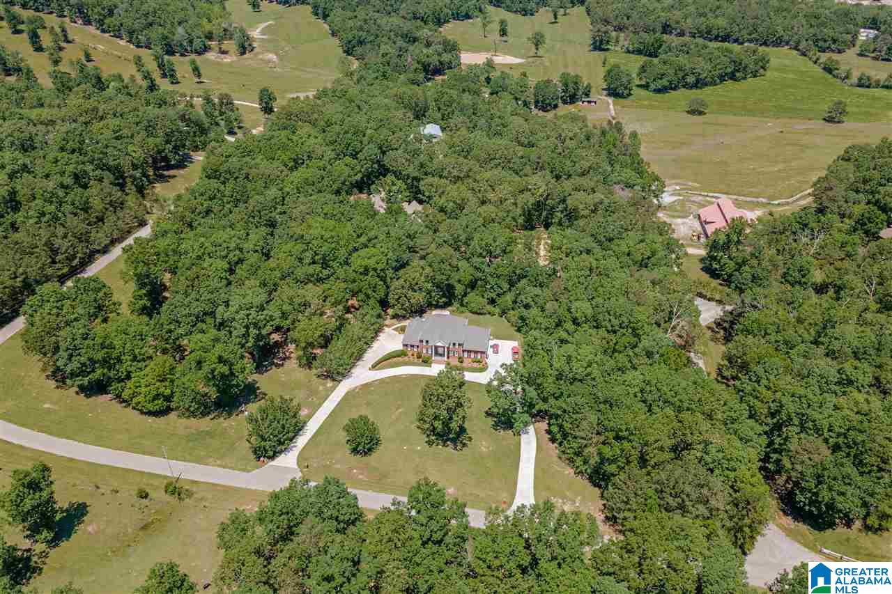 270 Country Hills Road Montevallo, AL 35115 - Photo 46 of 50