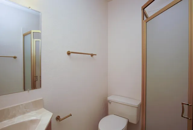 a bathroom with a toilet a sink and mirror