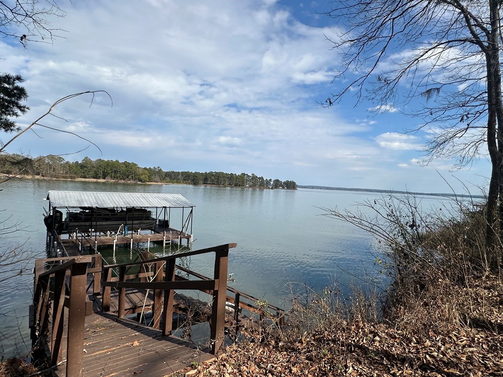 2422 County Road 97 Abbeville, AL 36310 - Photo 41 of 50