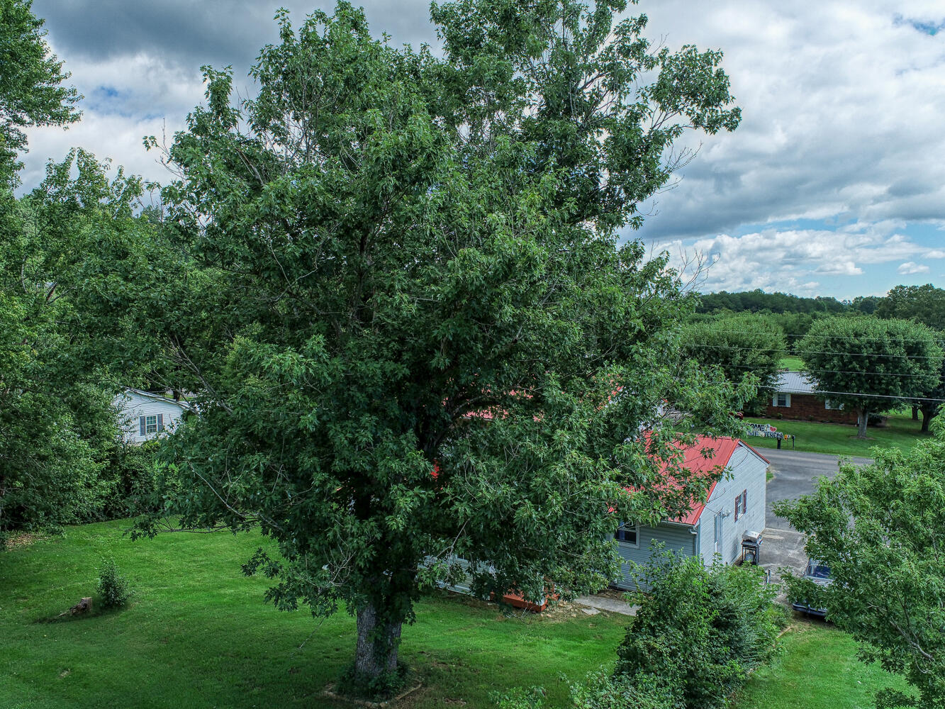 245 Arrington Road Rogersville, TN 37857 - Photo 8 of 62 CBJ. 245 Arrington. Rog MLSa (8 of 19)
