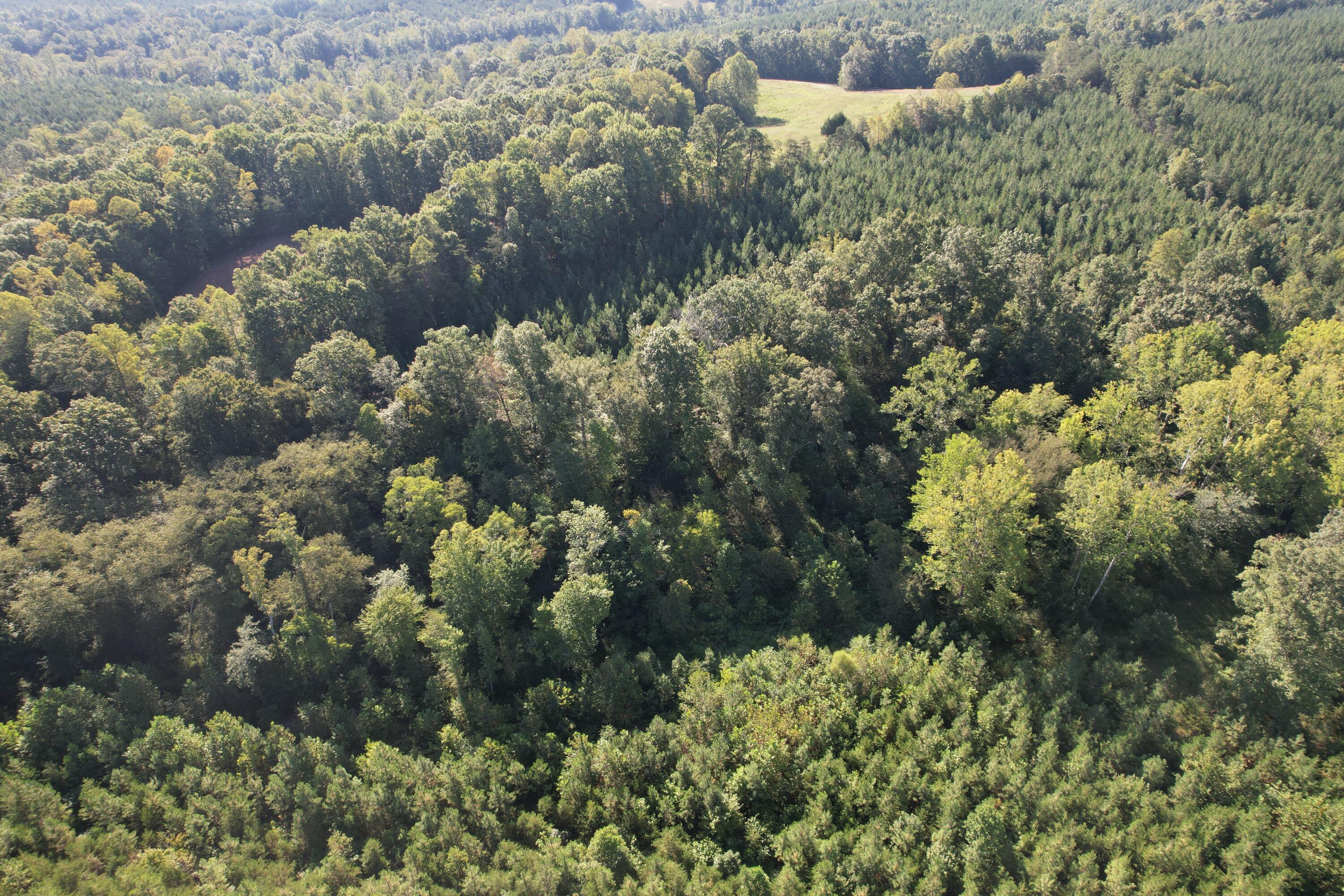 1145 Sugar Barbour Road Axton, VA 24054 - Photo 94 of 121 DJI_0664