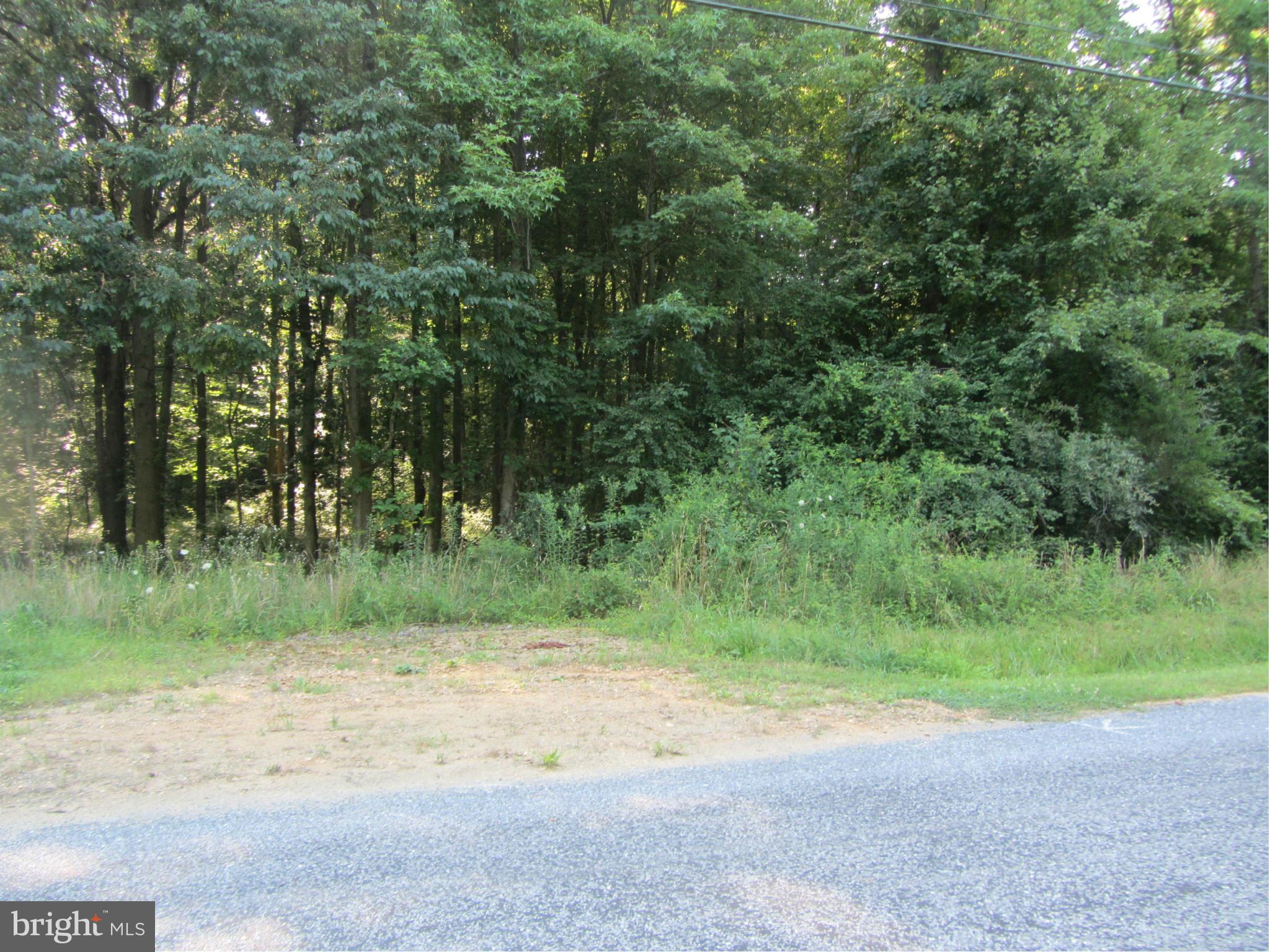 0 Clarissa Road Chestertown, MD 21620 - Photo 1 of 4 View