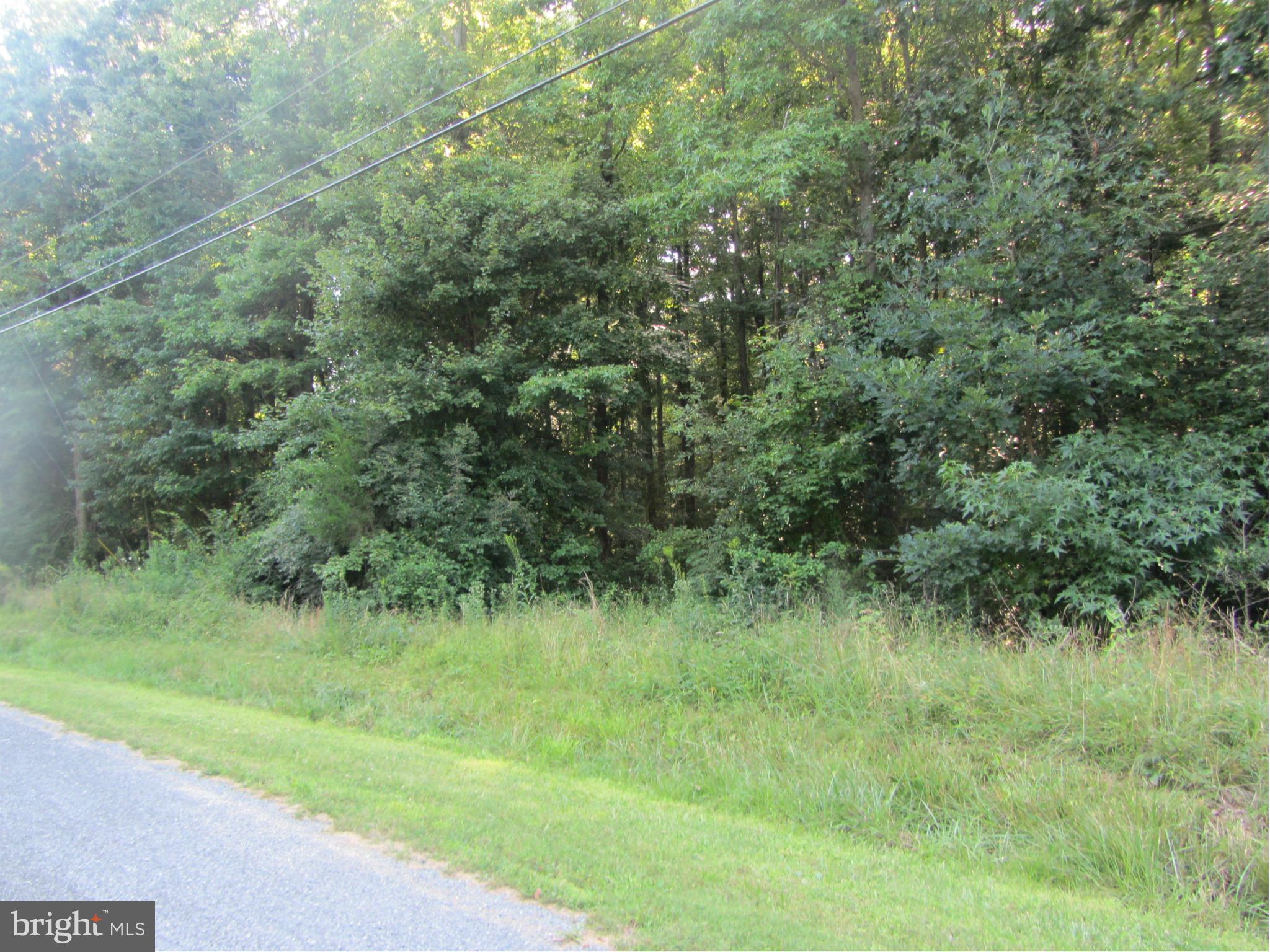 0 Clarissa Road Chestertown, MD 21620 - Photo 4 of 4 View
