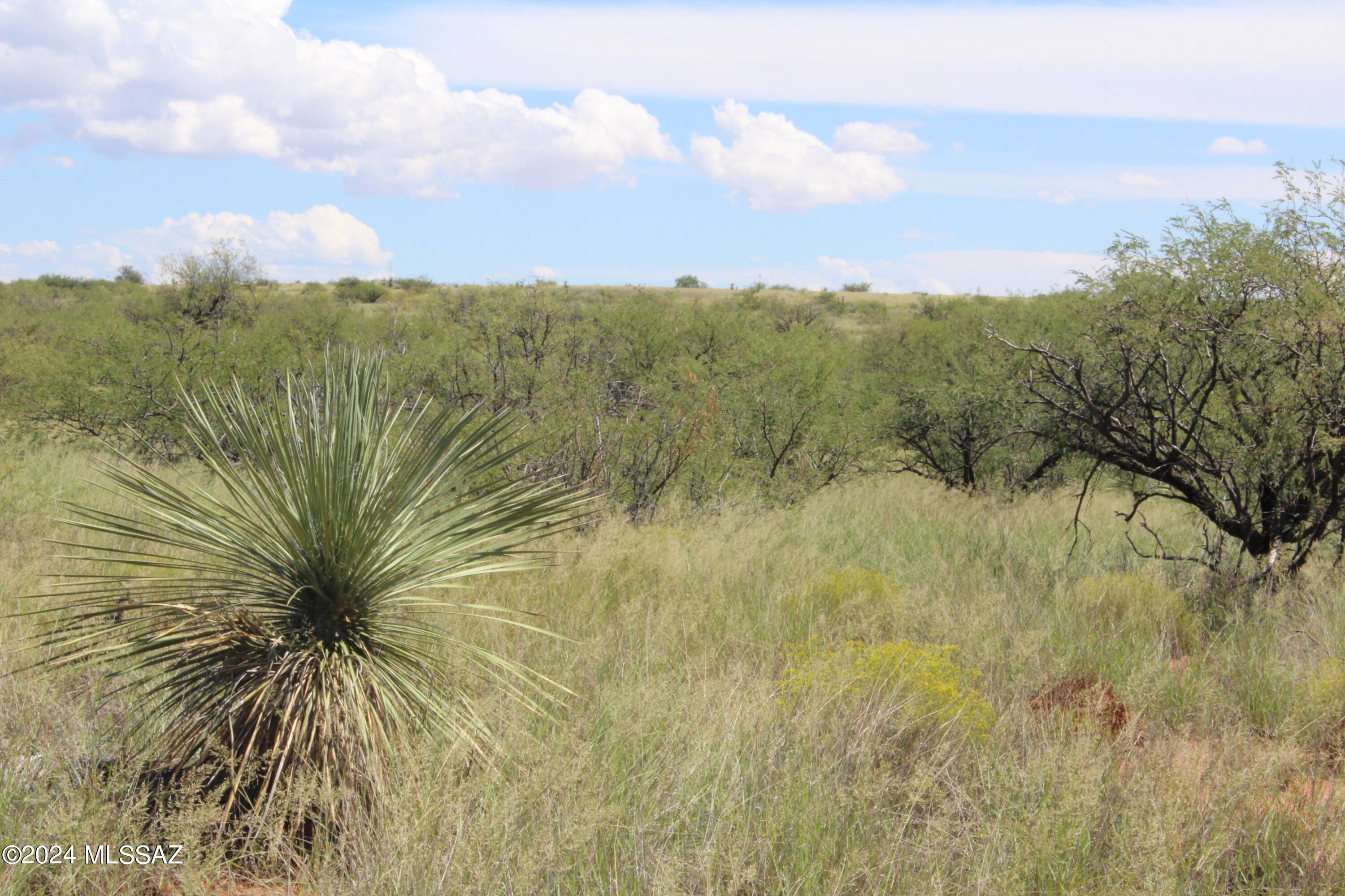 Tbd East Naiche Road, Unit 56 St. David, AZ 85630 - Photo 5 of 17