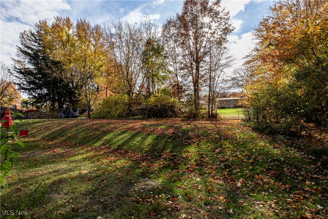 2114 Springfield Center Road Akron, OH 44312 - Photo 28 of 31 Beautiful view of backyard for entaining and enjoying family and friends.