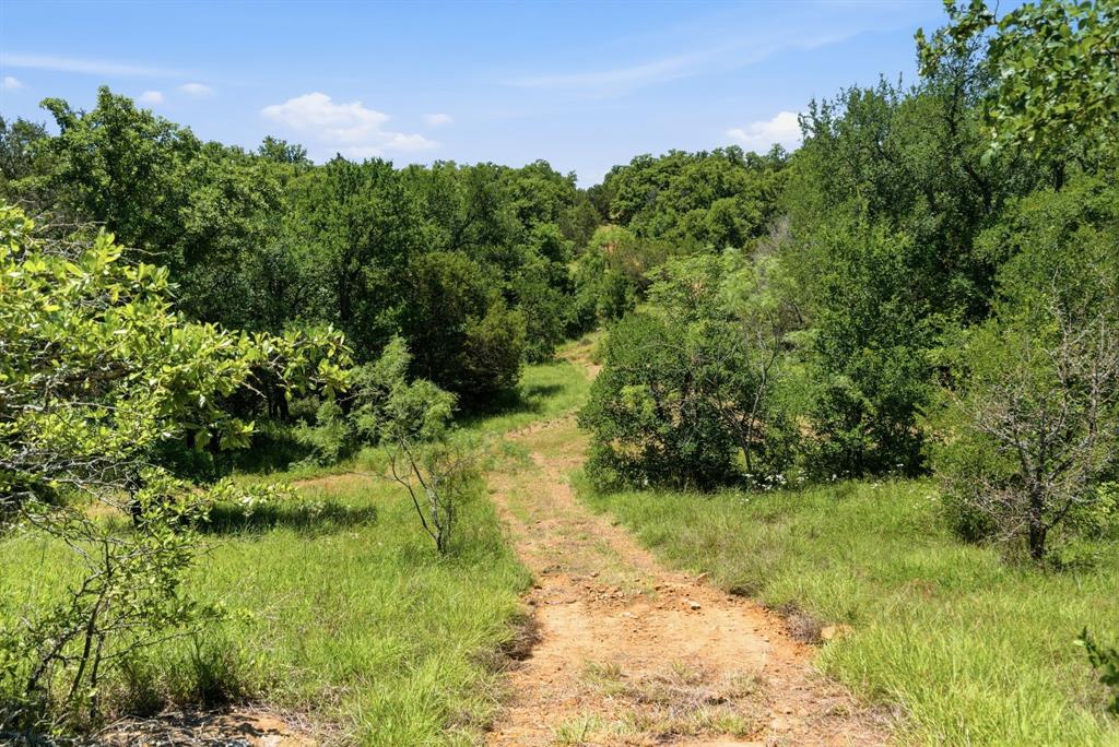 4320 Dobbs Valley Road Millsap, TX 76066 - Photo 7 of 40 a view of a garden