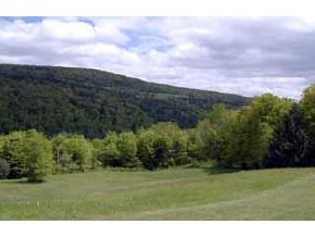 242 Twin Pond Road Brookfield, VT 05036 - Photo 3 of 4